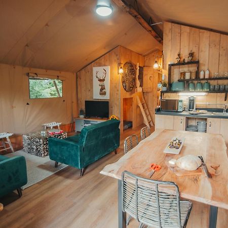 Cosy Forest Lodge Penrhos  Ngoại thất bức ảnh
