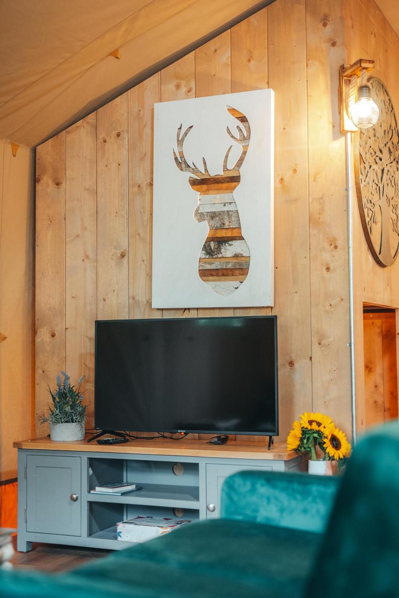 Cosy Forest Lodge Penrhos  Ngoại thất bức ảnh